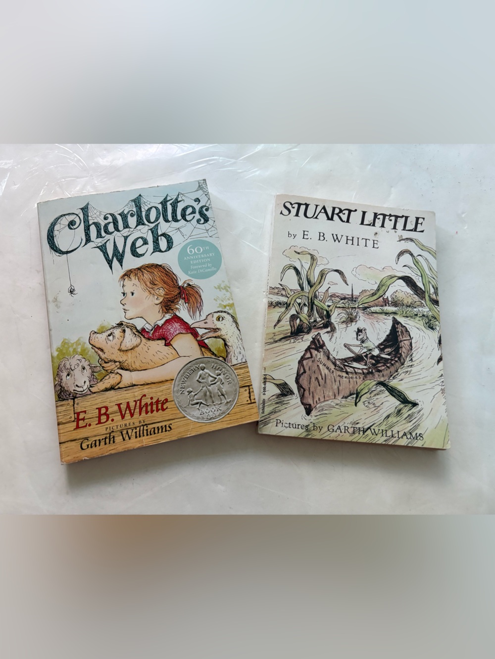Set of 2 Charlotte's Web & Stuart Little Two-Book Classic Children's